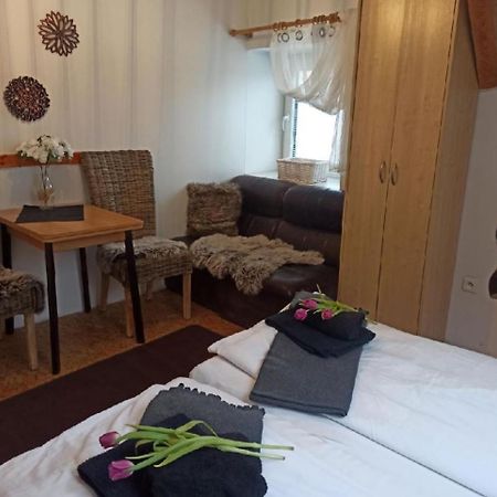 Apartmany Ziakova - Ubytovani Nove Hrady 111 المظهر الخارجي الصورة