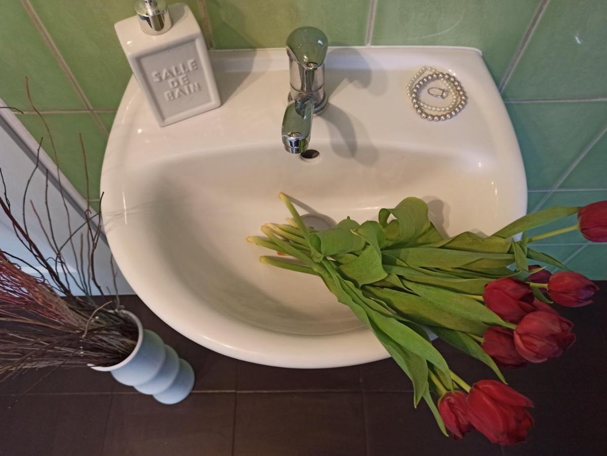 Apartmany Ziakova - Ubytovani Nove Hrady 111 المظهر الخارجي الصورة