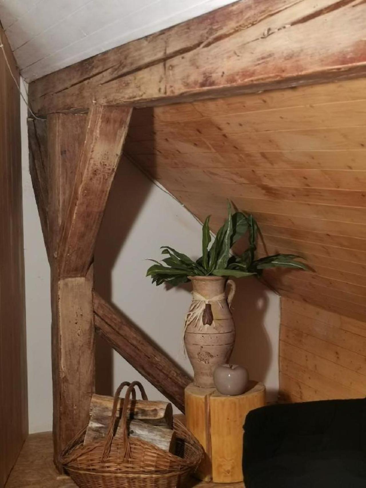 Apartmany Ziakova - Ubytovani Nove Hrady 111 المظهر الخارجي الصورة