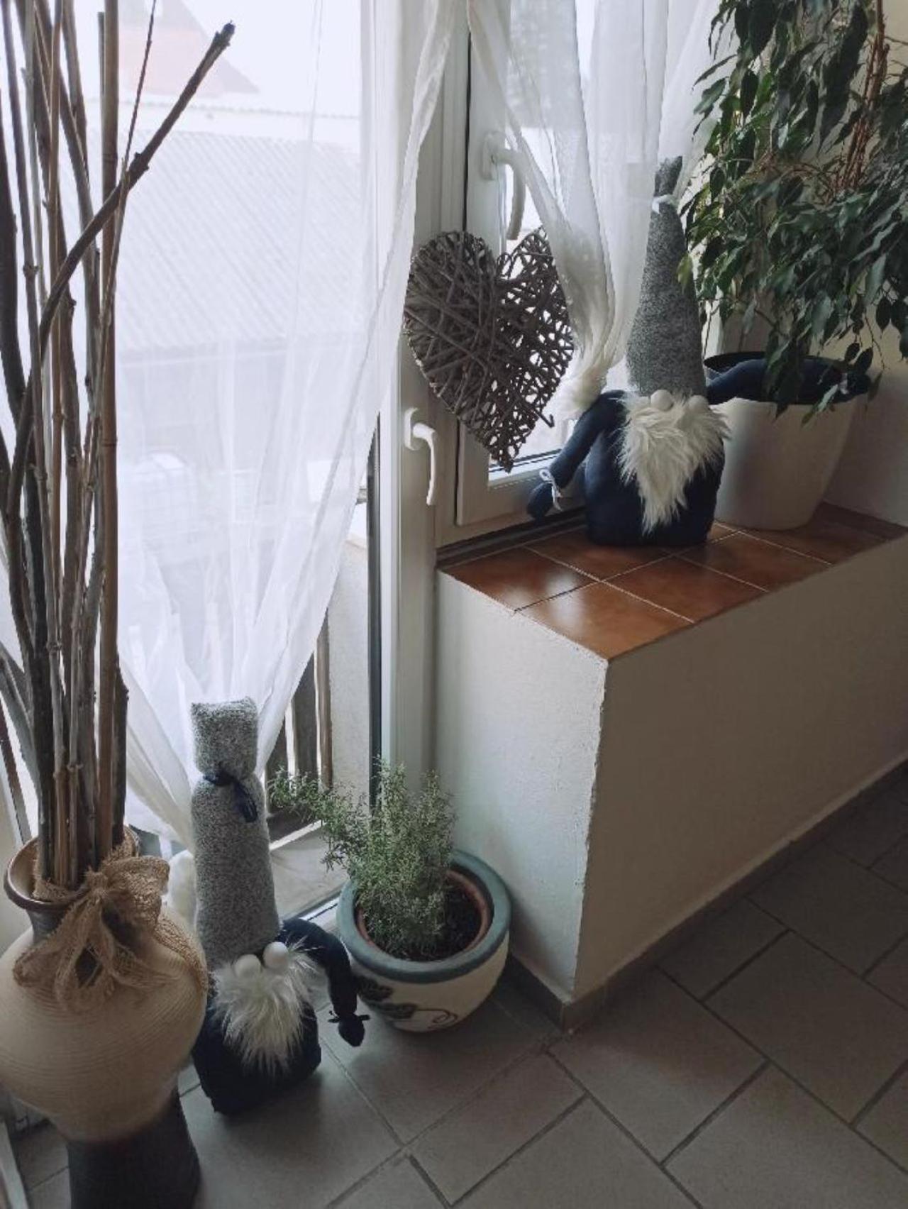 Apartmany Ziakova - Ubytovani Nove Hrady 111 المظهر الخارجي الصورة